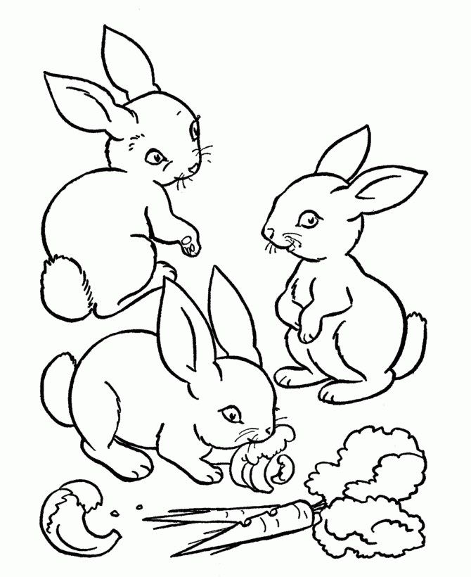 Conejos para pintar