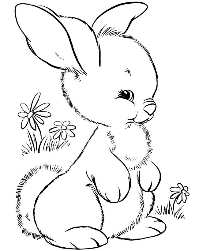 rabbit coloring pages for kindergarten kids - photo #8