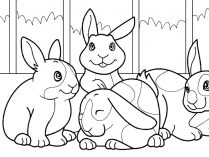 Conejos para colorear