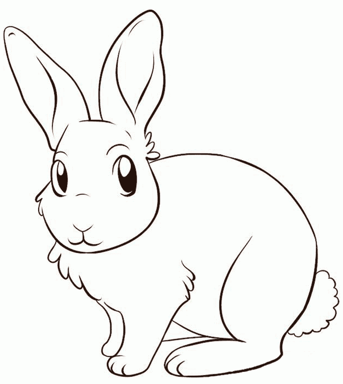Galería de imágenes: Dibujos de conejos para colorear