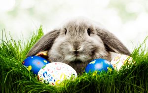 Leyenda del conejo de Pascua